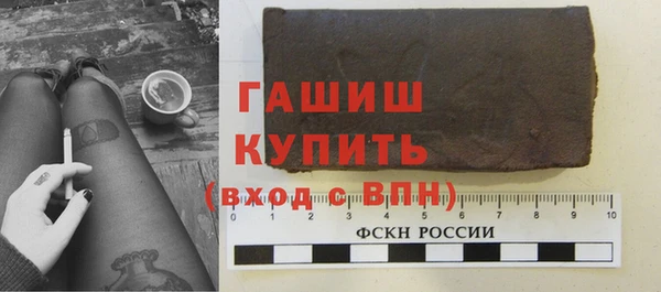 шишки Верея