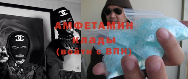 шишки Верея