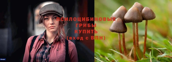 MDMA Бородино