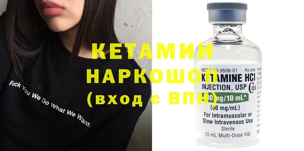 шишки Верея