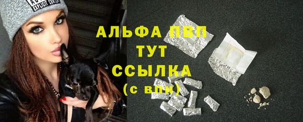 СК Верхний Тагил