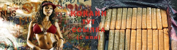 шишки Верея