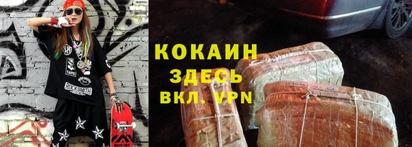 шишки Верея