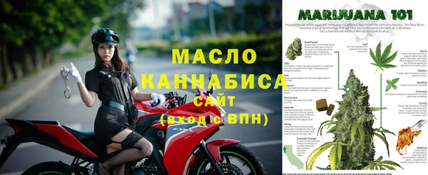 шишки Верея