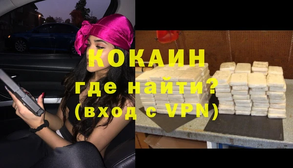 шишки Верея