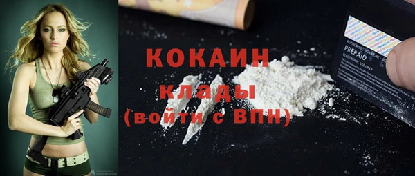 шишки Верея