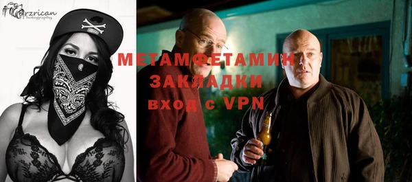 шишки Верея
