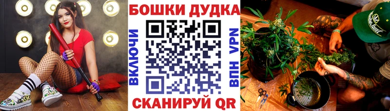 Бошки Шишки семена Гаврилов Посад